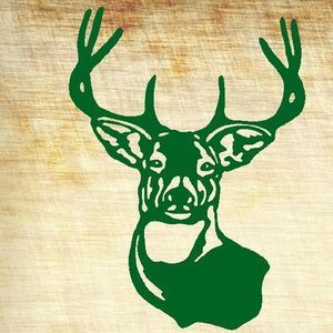 Meet your Posher, Jasper